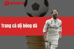 Trang cá độ bóng đá - Địa chỉ uy tín cho bet thủ cá cược