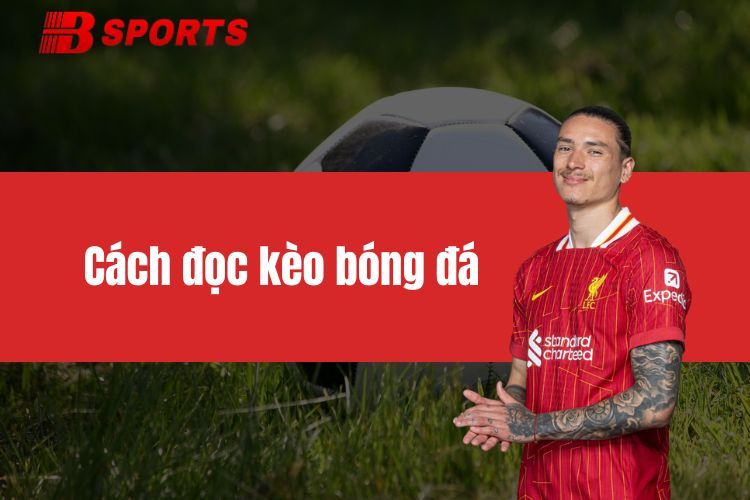Cách đọc kèo bóng đá chi tiết, cực chuẩn từ cao thủ