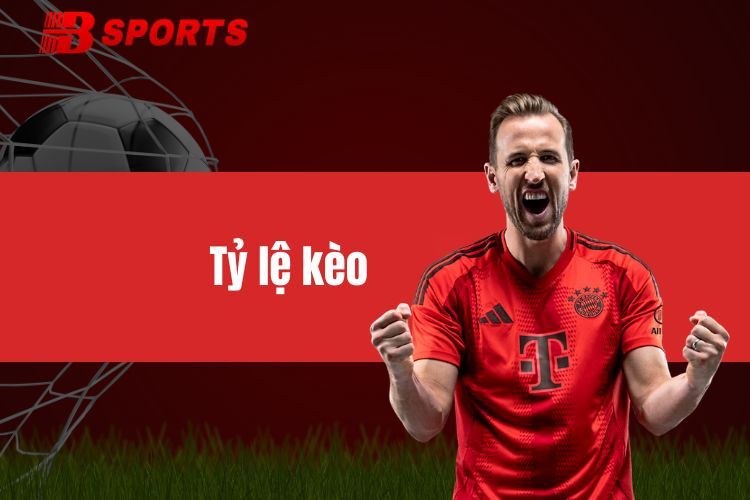 Tỷ lệ kèo - Cách đọc, phân tích dễ dàng cho người mới